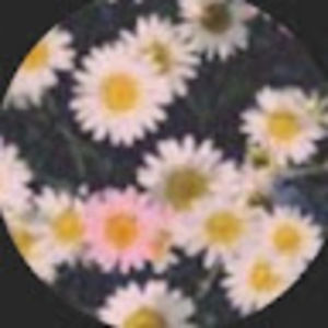 Meet your Posher, Edie